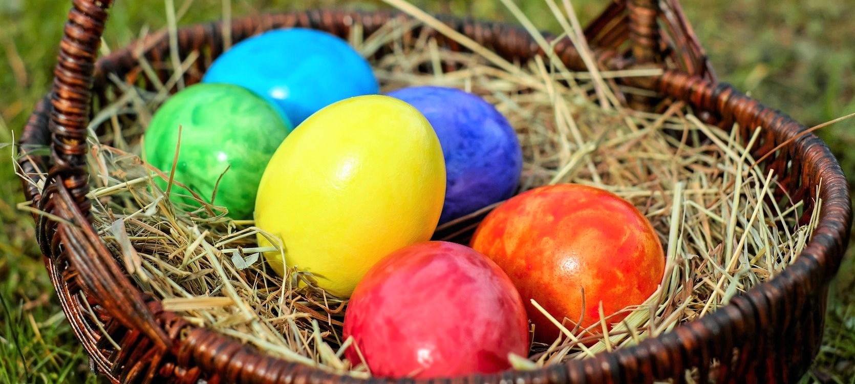 Photos d’œufs de toutes les couleurs dans un panier