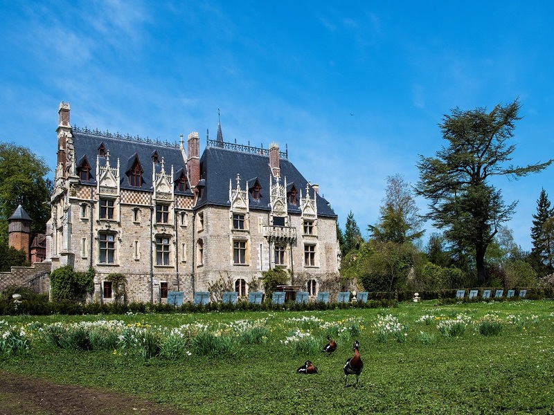 Photo du château, avec la pelouse devant, fleurissante de jonquilles, et des oiseaux en premier plan